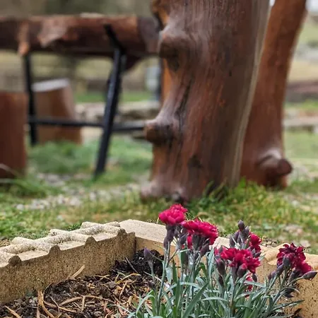 Diminio 2 At Livadi Σπίτι διακοπών Αράχωβα